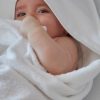 Honest Baby Clothing Two Pack Organic Cotton Hooded Towels