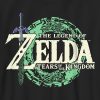 Kids Nintendo Zelda Tears of The Kingdom Logo Graphic Tee