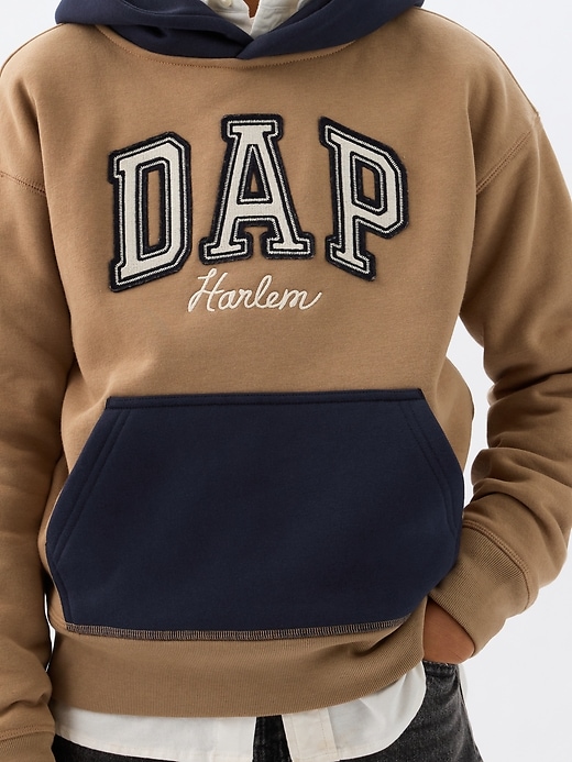 GAP × DAP Kids Vintage Soft Colorblock Logo Hoodie