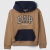 GAP × DAP Kids Vintage Soft Colorblock Logo Hoodie