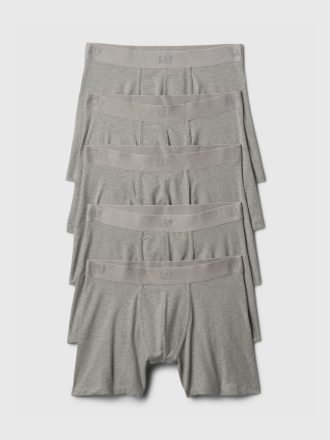 5″ Boxer Brief (5-Pack)