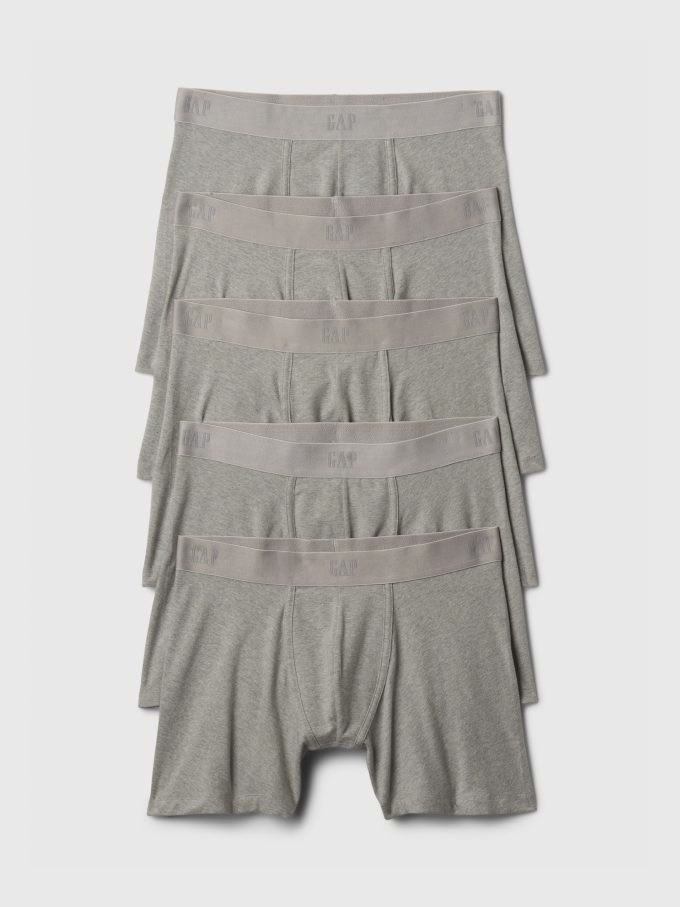 5″ Boxer Brief (5-Pack)