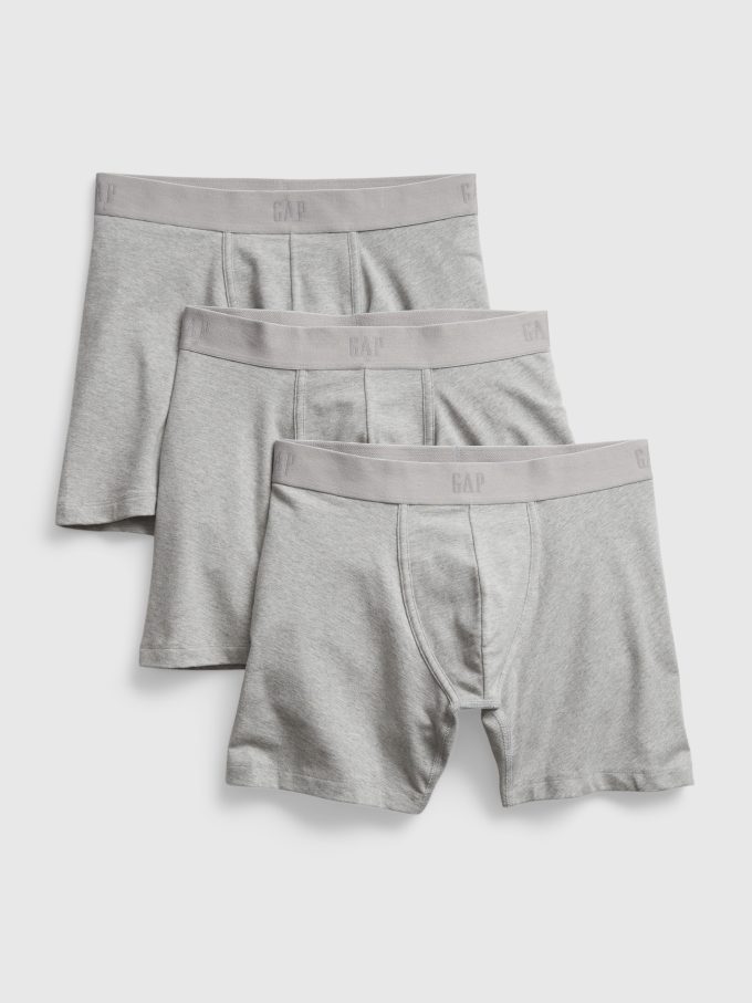 5″ Boxer Briefs (3-Pack)
