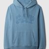 Gap Arch Logo Hoodie