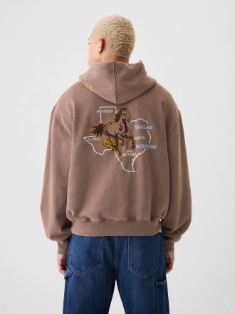 Gap Texas Logo Hoodie