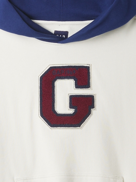 Heavyweight Colorblock Varsity Logo Hoodie Heavyweight Colorblock Varsity Logo Hoodie