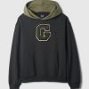 Heavyweight Colorblock Varsity Logo Hoodie Heavyweight Colorblock Varsity Logo Hoodie