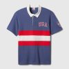 Team USA Polo Shirt