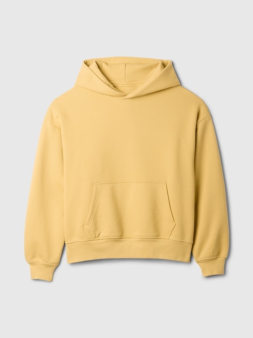 The Extra Heavyweight Hoodie That Hoodies The Extra Heavyweight Hoodie That Hoodies