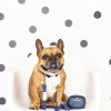 BFF Mini Dog Potty Bag Holder