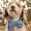 Glitter Dog Babe Bow