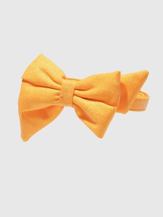 Glitter Dog Babe Bow and Collar