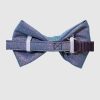 Glitter Dog Bow Tie and Collar