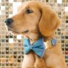 Glitter Dog Bow Tie and Collar