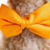 Glitter Dog Bow Tie and Collar
