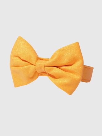 Glitter Dog Bow Tie and Collar