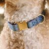 Glitter Dog Collar