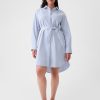 Organic Cotton Oxford Mini Shirtdress