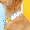 Printed Fabric Dog Collar