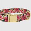 Printed Fabric Dog Collar