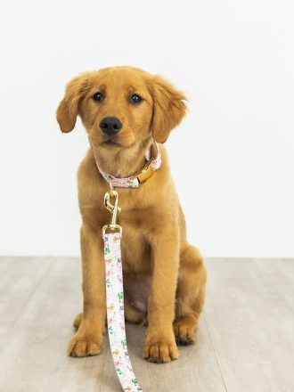 Printed Fabric Dog Leash Printed Fabric Dog Leash