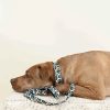 Printed Fabric Dog Leash