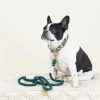 Rope Organic Cotton Dog Leash