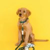 Rope Organic Cotton Dog Leash