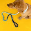 Rope Organic Cotton Ombre Dog Leash