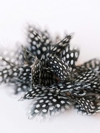 St. Armands Spotted Feather Tassel Earrings