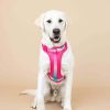 Ultra Comfort Neoprene Dog Harness