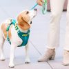 Ultra Comfort Neoprene Dog Harness