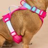 Ultra Comfort Neoprene Dog Harness