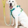 Ultra Comfort Neoprene Dog Harness
