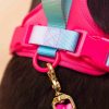 Ultra Comfort Neoprene Dog Harness