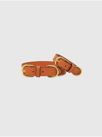 Vegan Leather Dog Collar Vegan Leather Dog Collar