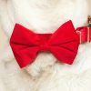 Velvet Dog Bow Tie