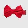 Velvet Dog Bow Tie and Collar