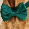 Velvet Dog Bow Tie and Collar