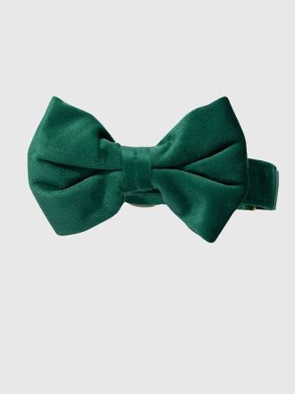 Velvet Dog Bow Tie and Collar