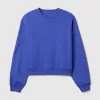 Vintage Soft Wedge Crewneck Sweatshirt